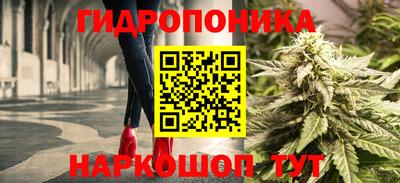 амф Жуковский