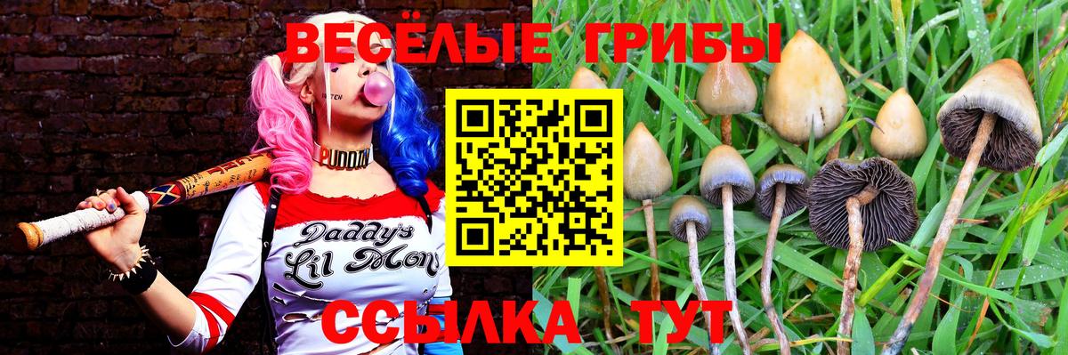 Нижнекамск  Псилоцибиновые грибы прущие грибы  Вход с VPN 