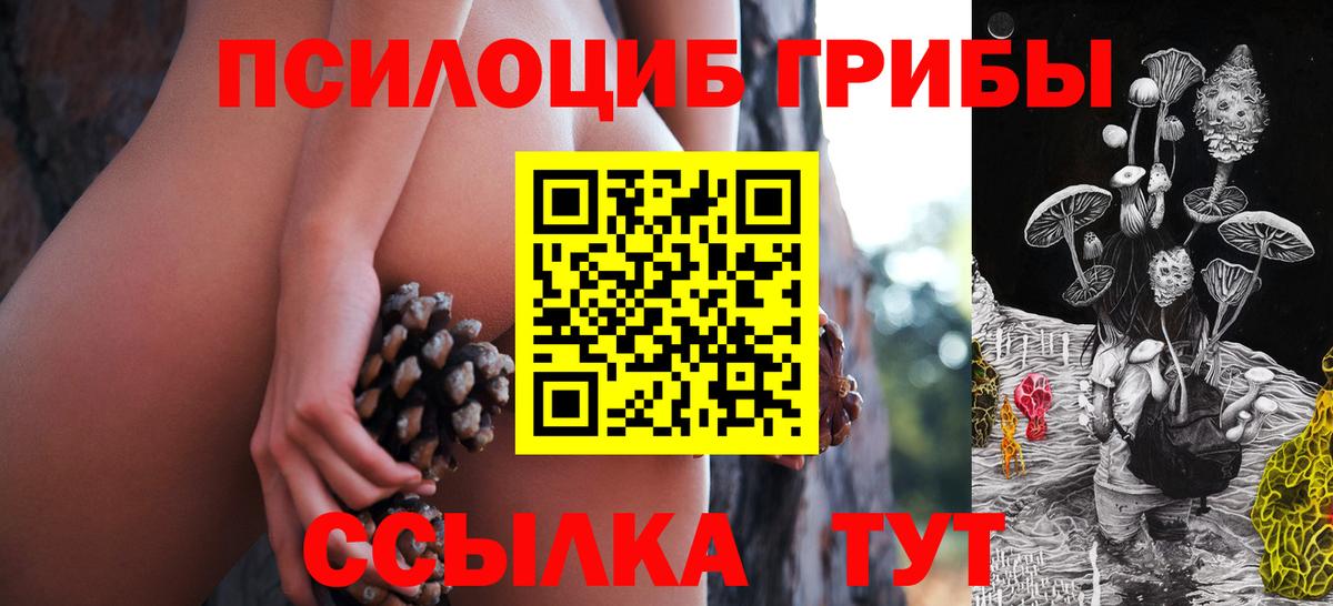 Галлюциногенные грибы Cubensis Нижнекамск